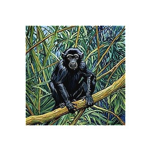 Little Monkey