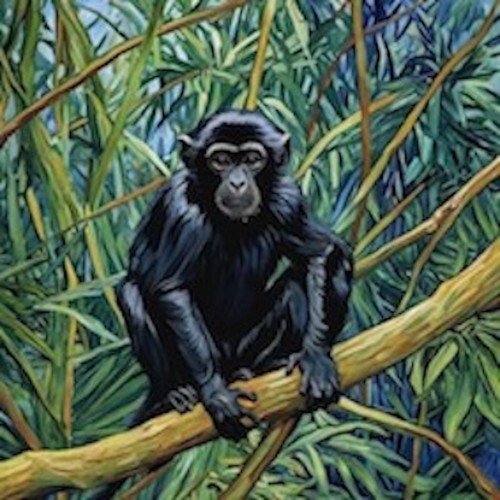 Little Monkey 